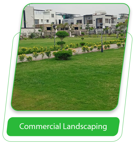 Commercial Landscaping copy